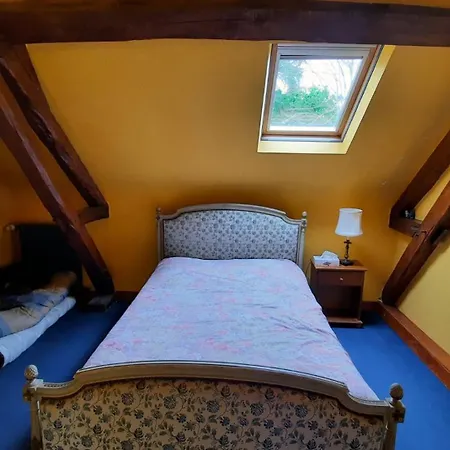 Etang De La Bibardiere * Allonnes (Maine-et-Loire)