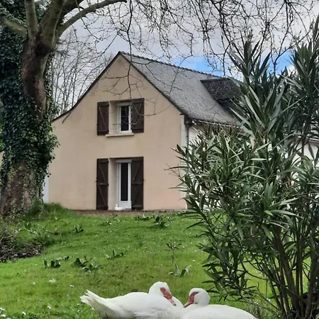 Etang De La Bibardiere * Allonnes (Maine-et-Loire)