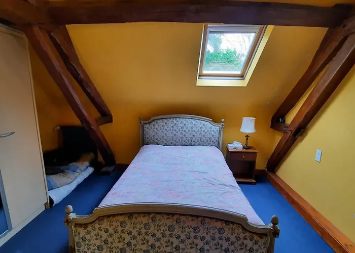 Etang De La Bibardiere * Allonnes (Maine-et-Loire)